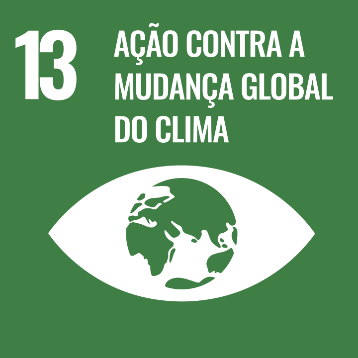 Logo ODS Ação contra a mudança global do clima